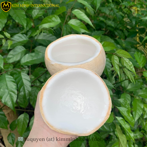 Gobelets de service en coque de noix de coco congelée en vrac, chair de noix de coco naturelle, IQF, fournisseur vietnamien, pour servir des boissons aux fruits, emballés sous vide - Product Image 3