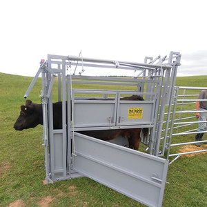 Chất lượng cao đúc sẵn bò sữa gia súc trang trại đổ bò chuồng nhà PVC màng tùy chỉnh Cấu trúc thép đa chức năng Thỏ - Product Image 1