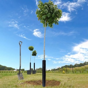 Protezione per Tronchi d'Albero, Fasciatura a Spirale per Corteccia, Cupole Regolabili per Umidità, Protezione per Giovani Piantine Contro Cervi e Roditori - Product Image 6