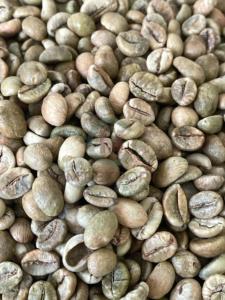 เมล็ดกาแฟโรบัสต้าจากเวียดนาม S18กระบวนการสะอาดเมล็ดกาแฟธรรมชาติ - Product Image 3
