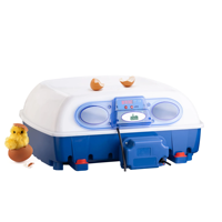 Incubateur d'œufs automatique 2022, nouveau produit, plateau professionnel DC-DCI-49 pour l'éclosion des poules, des canards, des cailles, des Pigeons, des dindes