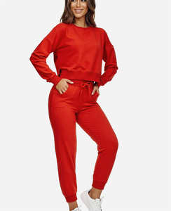 Ensembles de vêtements pour femmes tenues d'automne hiver survêtements respirants personnalisés ensemble de deux pièces pour femmes ensemble de sweat à capuche et pantalon de survêtement en flanelle - Product Image 5