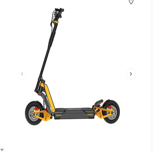 Tout nouveau RS Natural Born Racer d'origine équipé de deux moteurs de 2000W Puissance de sortie de 8400W - Product Image 2