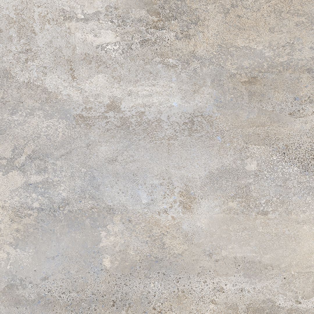 นกพิราบ