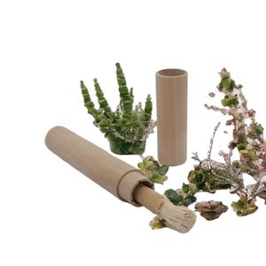 Bâtonnet de Miswak Naturel Sous Vide, Brosse à Dents à Base de Plantes, Hygiène Buccale, Nettoyage des Dents, Vente en Gros - Product Image 6