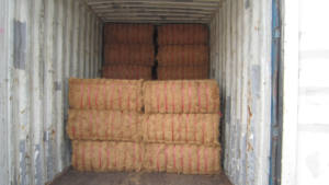 La mejor opción para hacer colchones Fábrica de fibra de coco en Vietnam - Product Image 5