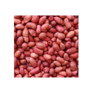 <b>Peanuts</b> bulk supply wholesale fast delivery cheap price exporter - Product Image 6