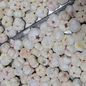 Suministro de aperitivos de Frutas: crujiente ligero y lleno de mangostán. - Product Image 1