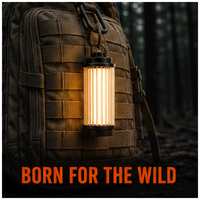 Lampu Camping LED USB-C Isi Ulang Grosir, Bahan ABS+PC, Tahan Air IPX5, Lubang Berulir 1/4" untuk Hiking, Memancing, Berkemah