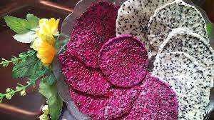 Proceso de anuncio de fruta seca de dragón seco vietnamita rico en vitamina C y antioxidantes - Product Image 2