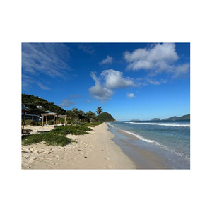 À des prix compétitifs pour les grosses commandes Obtenez Beech Long à des fins d'artisanat et de construction disponibles à la vente à un prix abordable - Product Image 2