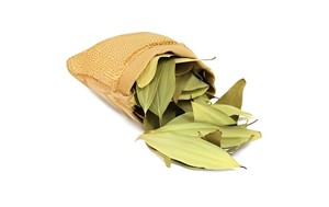 [KEITH VILACONIC] BONNES ÉCORCES DE CASSIA/CANNELLE NATURELLES SÉCHÉES AVEC UNE QUALITÉ DE HAUT NIVEAU À DES PRIX COMPÉTITIFS À L'EXPORTATION - Product Image 5