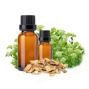 100% Natuurlijke Etherische Oliën Groothandel Leveren Angelica Wortelolie Pure Voor Aromatherapie Diffuser Bulk Leveranciers