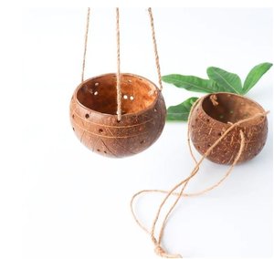 Pot suspendu de coquille de noix de coco écologique et durable/Pot de plante de coquille de noix de coco de Eco2go Vietnam - Product Image 1