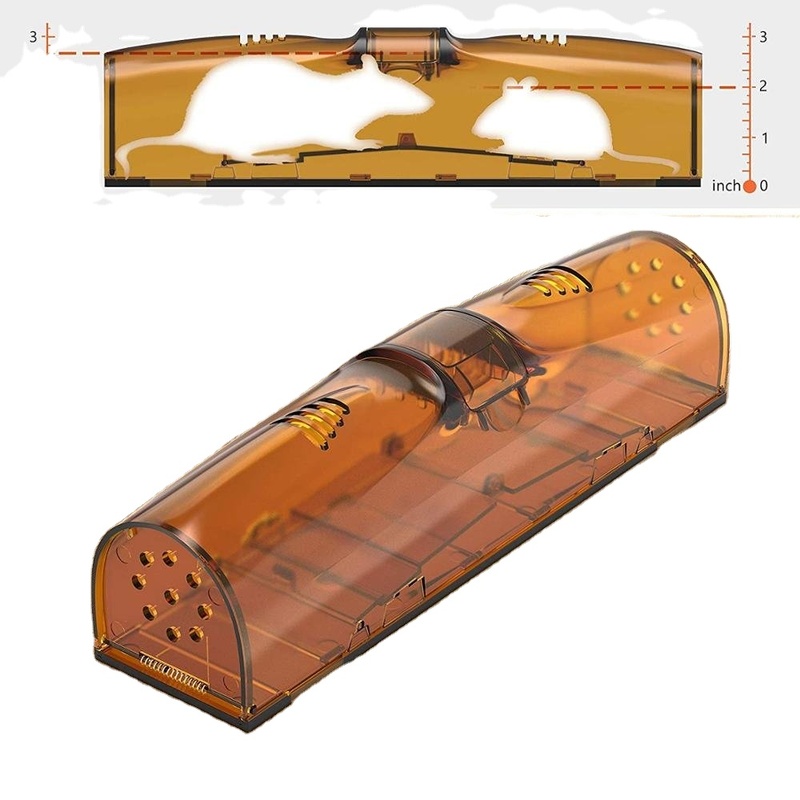 Best Seller Strongly Adhesive Mouse Rat