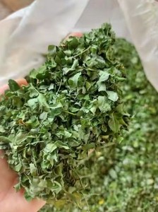 Feuilles de Moringa entières séchées sauvages Ayana Harvest, qualité alimentaire, naturelles, biologiques et 100% pures EG - Product Image 3
