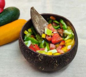 Hot Trend 2025 Bol à crème glacée en coquille de noix de coco de haute qualité et bon prix pour choisir Made in Vietnam de Eco2go Vietnam - Product Image 5