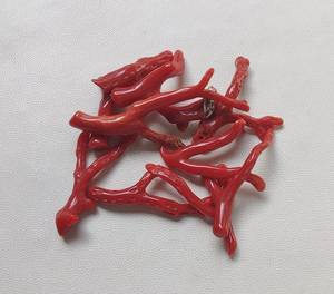 Palo de coral rojo italiano natural genuino, palo pulido de coral rojo italiano natural 100%. Palo de Coral Brillante Pulido, Palo de Coral - Product Image 4