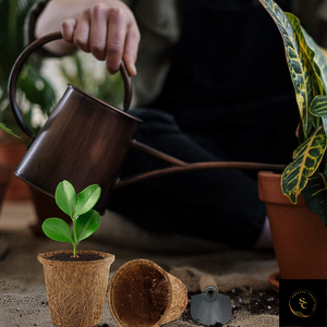 Pots de démarrage de graines de coco biodégradables biologiques de haute qualité Pots de pépinière d'origine indienne pour les semis d'herbes de germination - Product Image 4