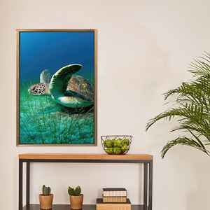 Impresión en Lienzo de Tortuga Moderna: Elegante Obra de Arte Animal para Decoración del Hogar, Lienzo con Marco Dorado - Product Image 1