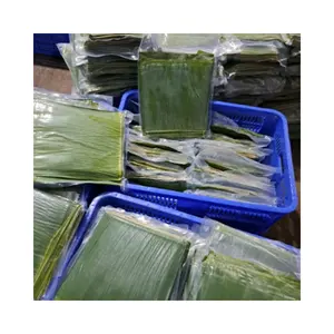 Atacado Fresh Green Banana Leaves Exportação Internacional de Folhas De Banana Congeladas A Preço Barato Do Vietnã