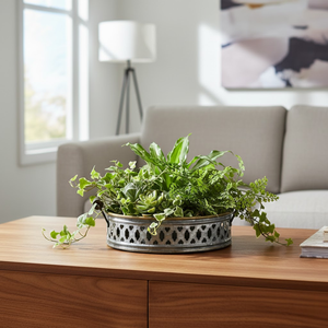 Pots à fleurs en fer directement de l'usine |   Vase en métal pour plantes |   Décoration de jardin pour bureau à domicile |   Pots de plantes modernes |   Jardinières d'intérieur et d'extérieur - Product Image 3