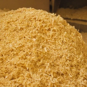 MAYOR VIETNAM MAYOR DE MAYORES CON PRECIO BAJO - Product Image 1