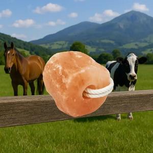 เกลือสัตว์หิมาลัยธรรมชาติ100% แร่ธาตุอินทรีย์สำหรับวัวม้าและปศุสัตว์ - Product Image 1