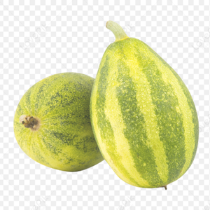 Meilleur fournisseur melon cantalouge séchage sous vide - Product Image 6