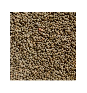 Approvisionnement en vrac 100% graines de périlla naturelles pures - Product Image 1