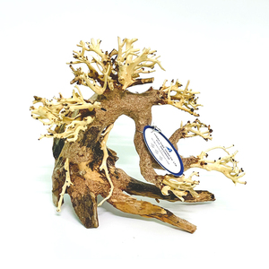 2025 Best-seller élégant bonsaï aquatique bois flotté accessoire de décoration de réservoir de poissons de luxe écologique pour salon - Product Image 5