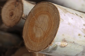 Poteaux ronds en bois dur d'eucalyptus, longueur 6m, diamètre 10cm+, brun naturel, pour la construction et l'agriculture - Product Image 2