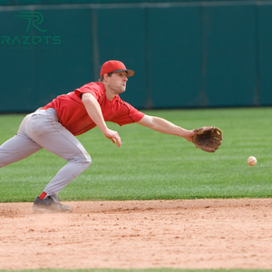 Personnalisable de haute qualité souple Cabretta cuir plein doigt isolé étanche gants de Baseball respirant confortable receveur - Product Image 4