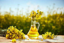 น้ำมันเรพซีดเกรดเครื่องสำอางบริสุทธิ์และเป็นธรรมชาติ100% น้ำมันสำหรับผู้ขนส่งน้ำมันหอมระเหยเกรดพรีเมี่ยม - Product Image 6