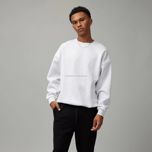 2026 OEM Unisex Blank Light <b>Grey</b> Sweatshirt Cotton Fleece Long Sleeve Printed Oversized Pullover Classic <b>Hoodies</b> Wholesale - Product Image 1