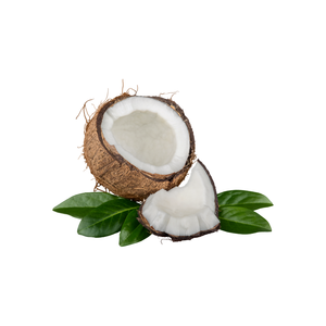 Développement de l'industrie alimentaire biologique avec des produits agricoles séchés à la noix de coco - Product Image 3