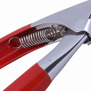 Coupe-ongles professionnel en acier inoxydable de grande taille, à bord droit, avec lime à ongles - Product Image 4