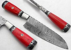 Cuchillo de chef profesional, cuchillo de cocina de acero de Damasco alto, afilado, duradero, mango de madera de espiga completa, herramienta de cocina - Product Image 6