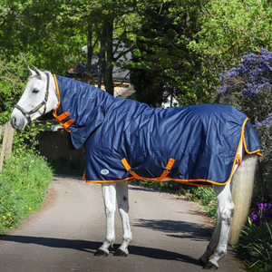 Alfombra estándar de cuello completo Combo Horse Turnout tela impermeable Shell algodón relleno Nylon forrado cómodo alfombra duradera - Product Image 2