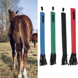 Recién llegado, modelo de la bolsa elástica de cola de caballo, protector y envolturas, SUMINISTROS DE ASEO, 2017 - Product Image 4