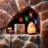 Lampe de sel de l'Himalaya certifiée GMP, 2-3 kg, écologique, décoration intérieure, croix Feng Shui, animaux, fleurs, faite à la main, électrique