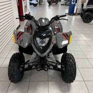 2024 recién surtido Polariiss Phoenixxs 200 4.W. D U.T.V.s Motores de 4 tiempos 1000W Powerrs - Product Image 5