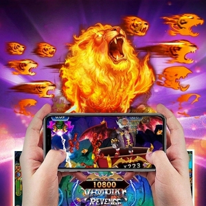 Distributore di Crediti e Punti per Giochi Online Fire Kirin, Golden Dragon, Orion Stars, Milky Way, Macchina da Gioco Arcade Globale - Product Image 5