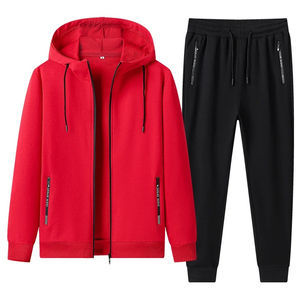 Ensemble 2 pièces pour hommes, vêtements décontractés de couleur unie, sweat à capuche avec fermeture éclair, pantalon de survêtement, nouvelle collection hiver automne 2025 - Product Image 2