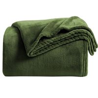 Cosy toutes saisons Super doux 100% Polyester gaufré texturé microfibre Jacquard flanelle polaire couverture caractère solide rayé
