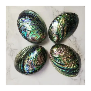 Natural Vietnam <b>Abalone</b> <b>Shell</b> Ocean Coastal Style Polished Gemstone Perfect for Jewelry DIY and Creative Decor - Product Image 5