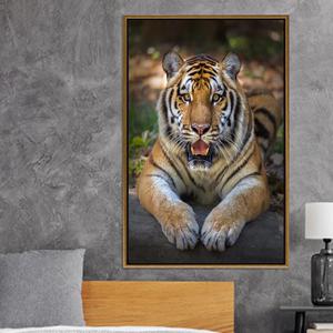 Impresión en Lienzo de Tigre Acostado: Arte Mural Realista de Gato de la Selva, Lienzo con Marco Dorado - Product Image 1