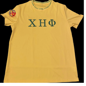 Vente chaude Chi Eta Phi O-Neck Tricoté Broderie Lettres Manches Courtes 100% Coton Jersey Plus La Taille Sororité T-shirts - Product Image 5