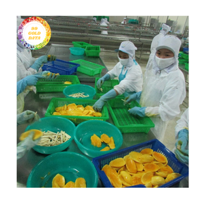 มะม่วงแช่แข็งคุณภาพสูงสำหรับเครื่องดื่มขนมหวานและสมูทตี้จากเวียดนาม - Product Image 6