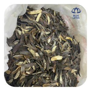 Murex Operculum Shell Natural Ocean Material For Incense Burning - Product Image 1